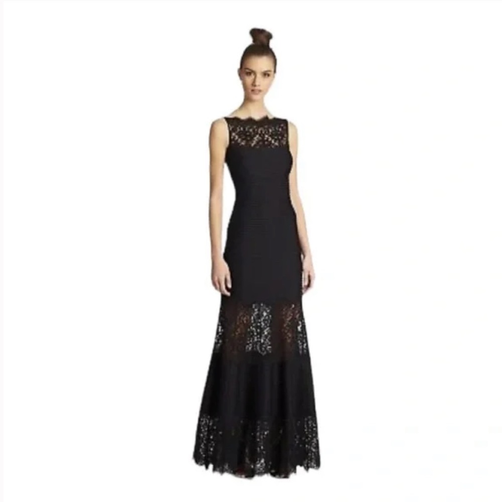 Tadashi Shoji Illusion Lace Pintuck Gown